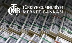 Eski TCMB Başekonomisti Kara: Bu sene yakılan döviz rezervi 10 milyar dolar