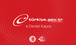 E-Devlet'ten Yeni Hizmet!