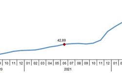 Enflasyon haziranda yüzde 78,6'ya çıktı