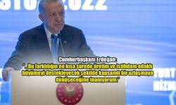 Cumhurbaşkanı Erdoğan: "Banka kredilerindeki sıkıntıların kaynağı ekonomi programımız değil"