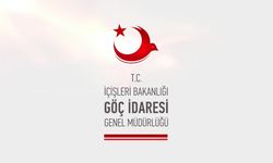 Göç İdaresi Başkanlığı sınır dışı edilen kaçak göçmenlerin sayısını verdi