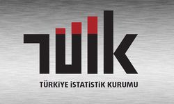 TÜİK, 2022 yılı ikinci çeyreğinin iş gücü istatistiklerini paylaştı