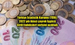 TÜİK verileri emekçilerin enflasyonun altında ezildiğini ortaya çıkardı