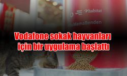 Vodafone sokak hayvanları için bir uygulama başlattı