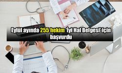 TTB’ye yurt dışına gitmek için başvuran hekim sayısı 9 ayda 2 bine dayandı