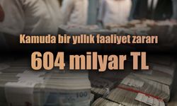 Yokuş aşağı gitmeye devam: 109 milyon asgari ücrete denk kamu zararı