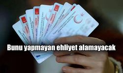 Resmi Gazete'de yayımlanarak yürürlüğe girdi