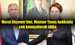 Meral Akşener, kimse 'onu' aday göstermezse kendisinin göstereceğini söyledi