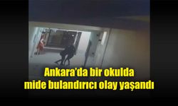 Okul müdürü, müdür yardımcısını ağır taciz etti