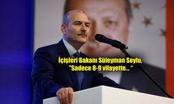 Bakan Soylu 'kalan' terörist sayısını açıkladı