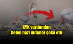 Böcekler, yılanlar...Ne ararsan bu yurtta mevcut!