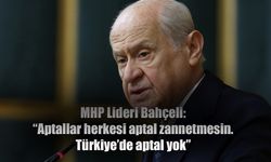 MHP Genel Başkanı Bahçeli'den ABD Büyükelçisi Flake'e cevap