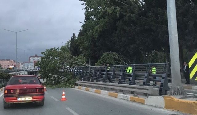 Balıkesir’de sert rüzgar etkili oldu