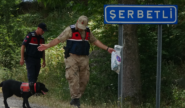 "Zehirli şırıngayı saplarım!"