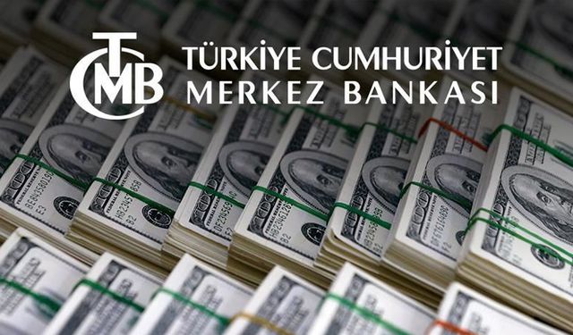 Eski TCMB Başekonomisti Kara: Bu sene yakılan döviz rezervi 10 milyar dolar