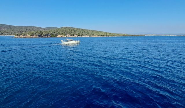 Ayvalık’ta havai fişek ve yanıcı madde kullanımı yasaklandı