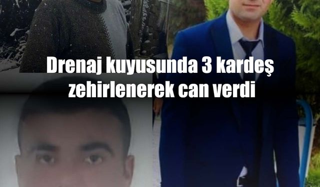 Drenaj kuyusu 3 kardeşe mezar oldu