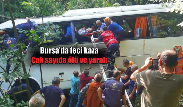 Tur otobüsü şarampole yuvarlandı: Çok sayıda ölü ve yaralı