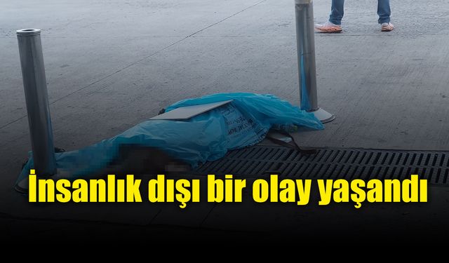 Böyle vicdansızlık yok! Hayvan severler küplere bindi..