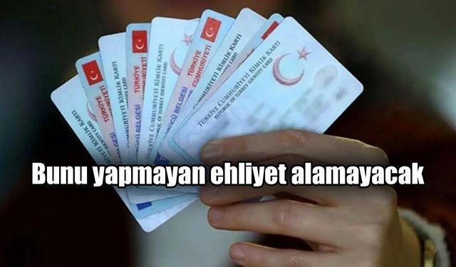 Resmi Gazete'de yayımlanarak yürürlüğe girdi