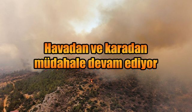 Mersin'de orman yangını! Havadan ve karadan yoğun müdahale, yerleşim yerleri boşaltıldı