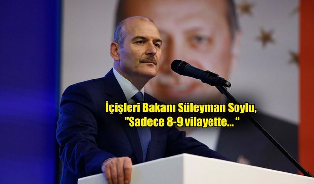 Bakan Soylu 'kalan' terörist sayısını açıkladı