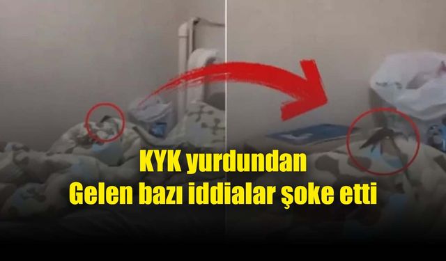 Böcekler, yılanlar...Ne ararsan bu yurtta mevcut!