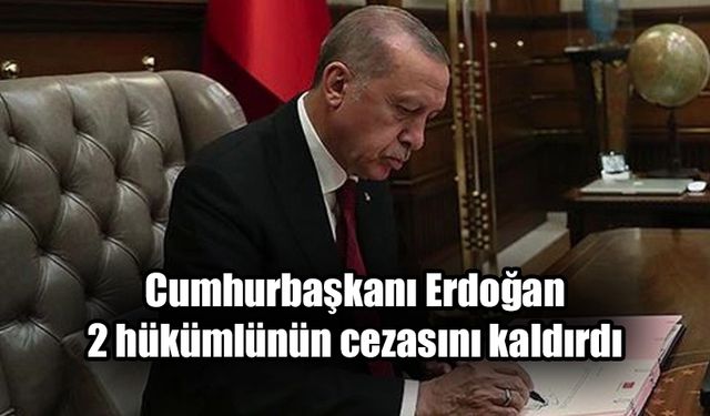 Resmi Gazete'de yayımlandı: Cumhurbaşkanı Erdoğan 'af yetkisi'ni kullandı