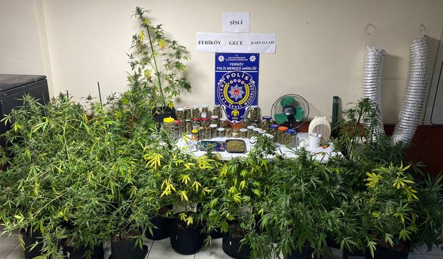 İstanbul’un göbeğindeki uyuşturucu serasına baskın: Kavanozlardan 15 kilogram marihuana çıktı