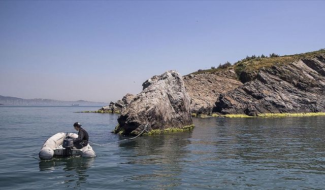 Marmara Denizi müsilaj öncesine döndü