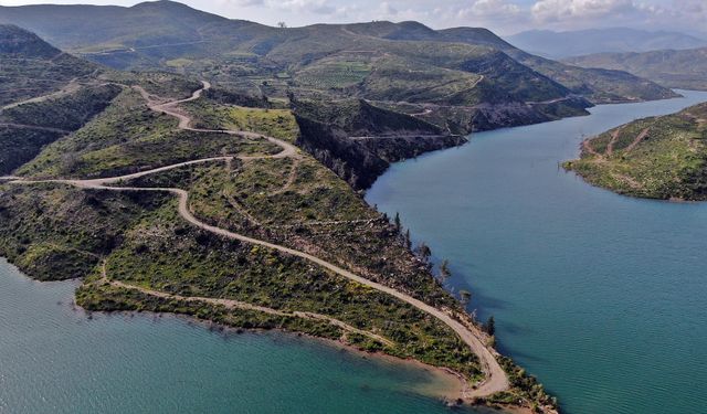 Cumhuriyet tarihinin en büyük yangından sonra griden yeşile dönüş