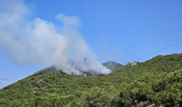 Antalya'da iki noktada orman yangını