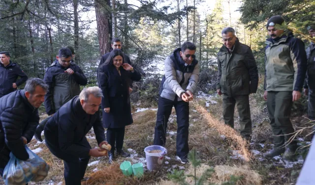 Bilecik'te yaban hayvanlarına Vali şefkati