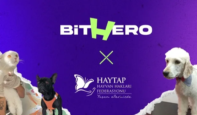 Haytap ve BitHero Kripto güçlerini birleştirdi