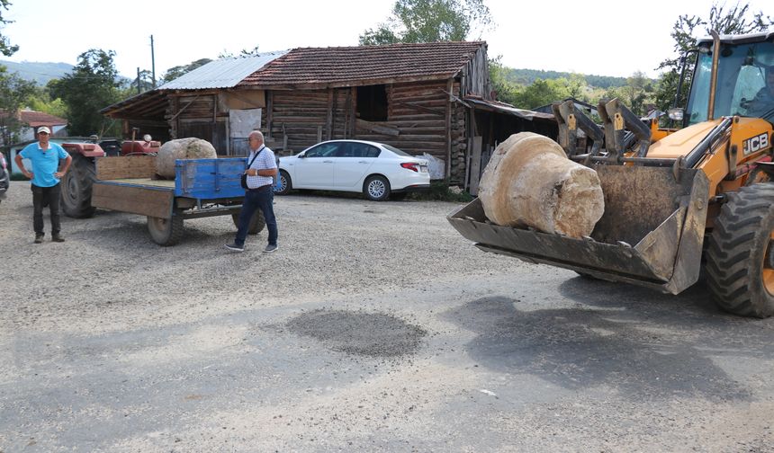 Kayıp sütunlar ünlü ailenin villasında bulundu!